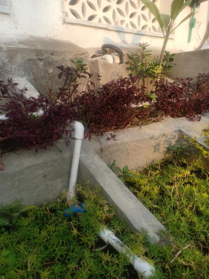Hn Palace Homestay Agra  Buitenkant foto